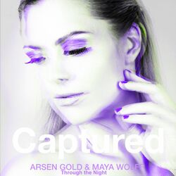 Cover of Captured (Through the Night)