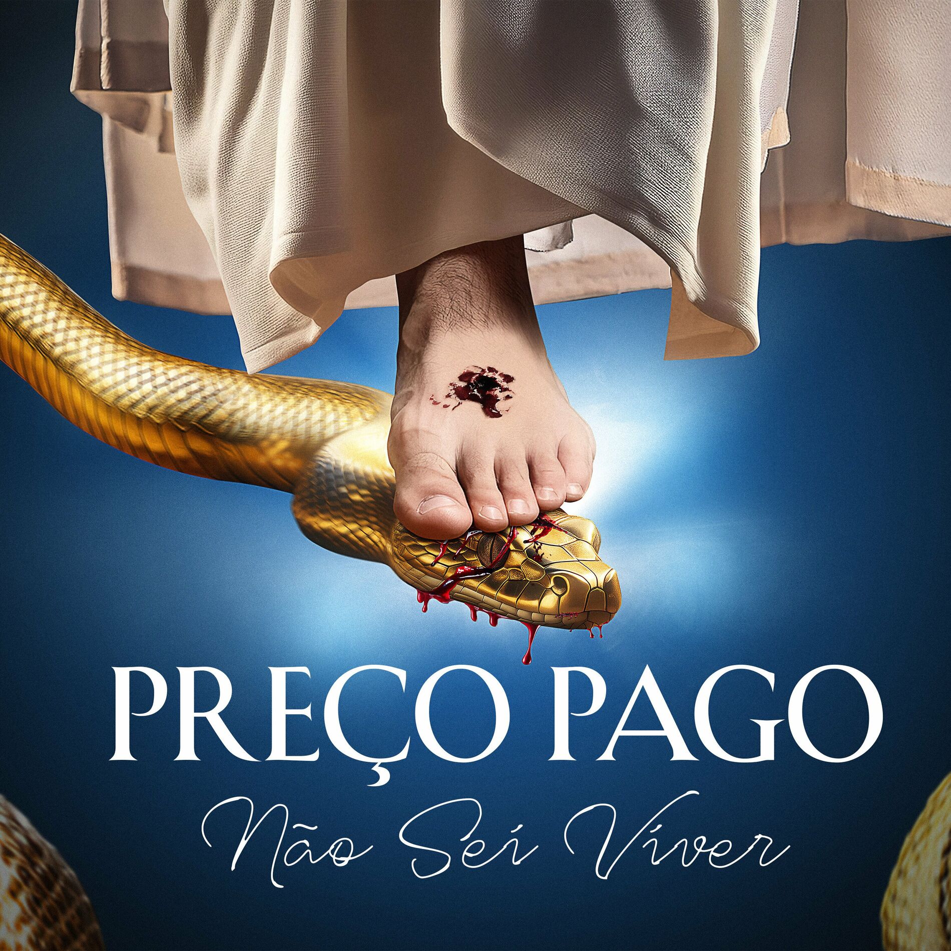 Album cover of Preço Pago (Não Sei Viver)