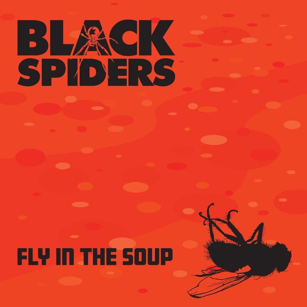 Album cover of Fly in the Soup