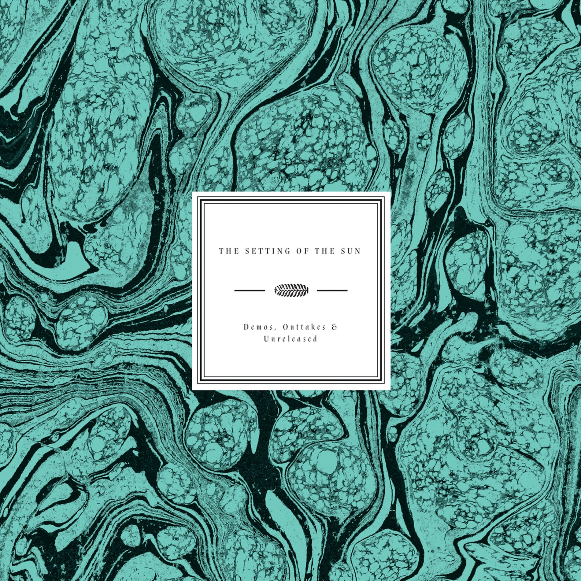 Album cover of The Setting of the Sun