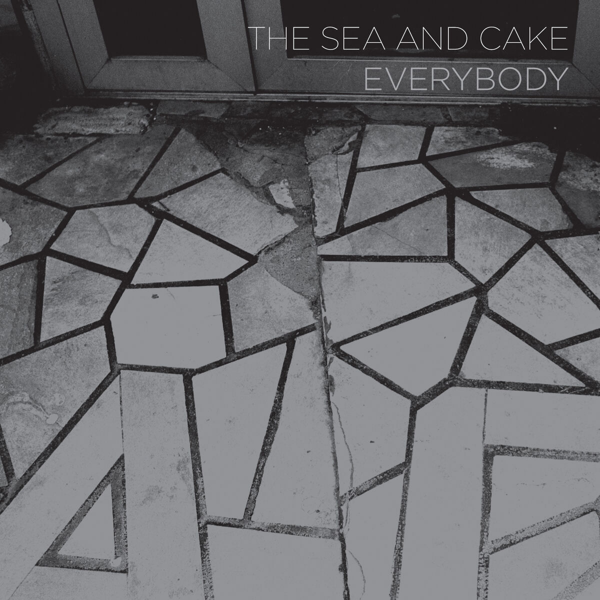 Album cover of Everybody