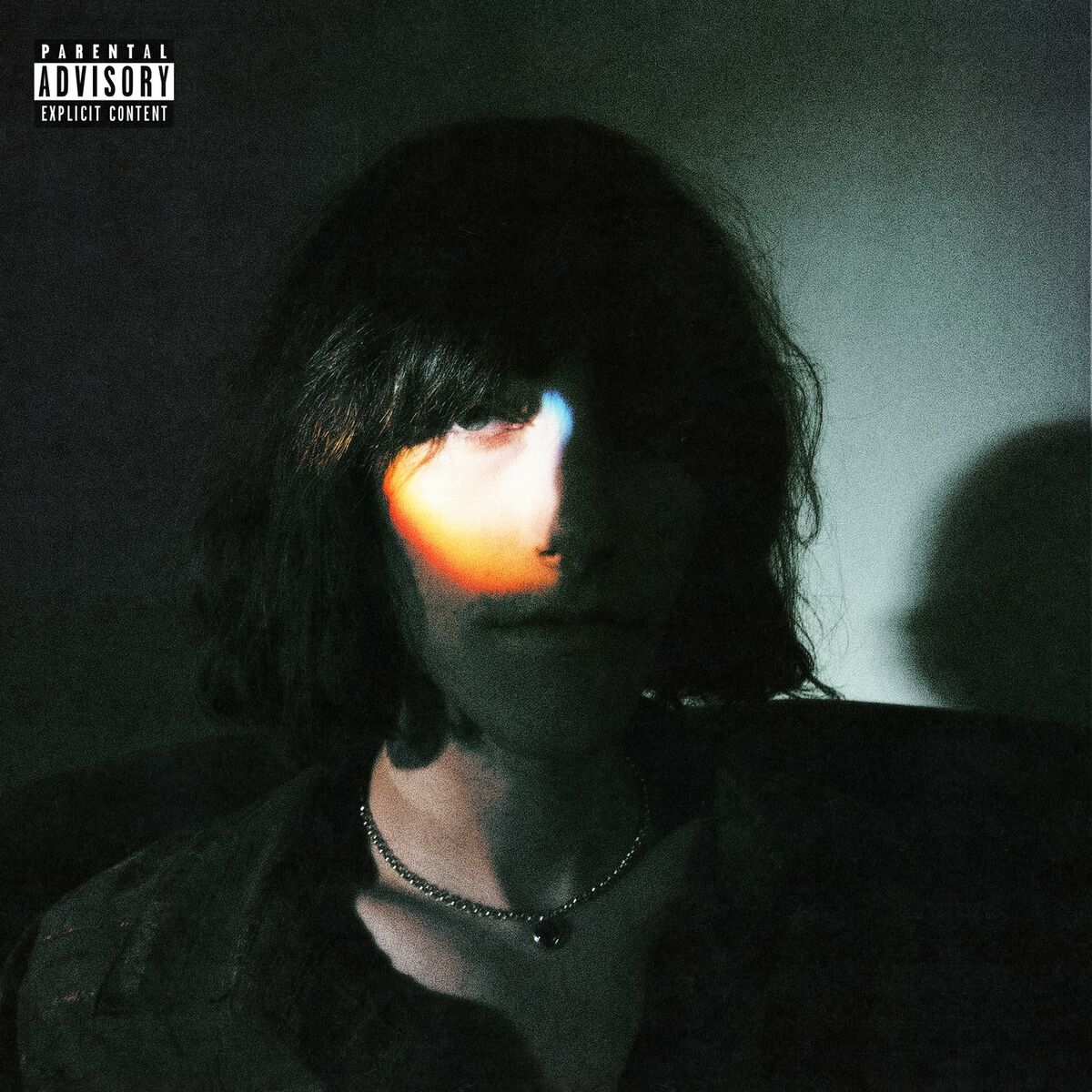 Album cover of predictable