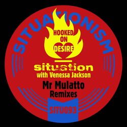 Cover of Hooked on Desire (Mr Mulatto's Remixes)