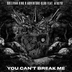 Cover of You Can't Break Me (feat. Brandon Saller of Atreyu)