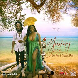 Cover of Missing You