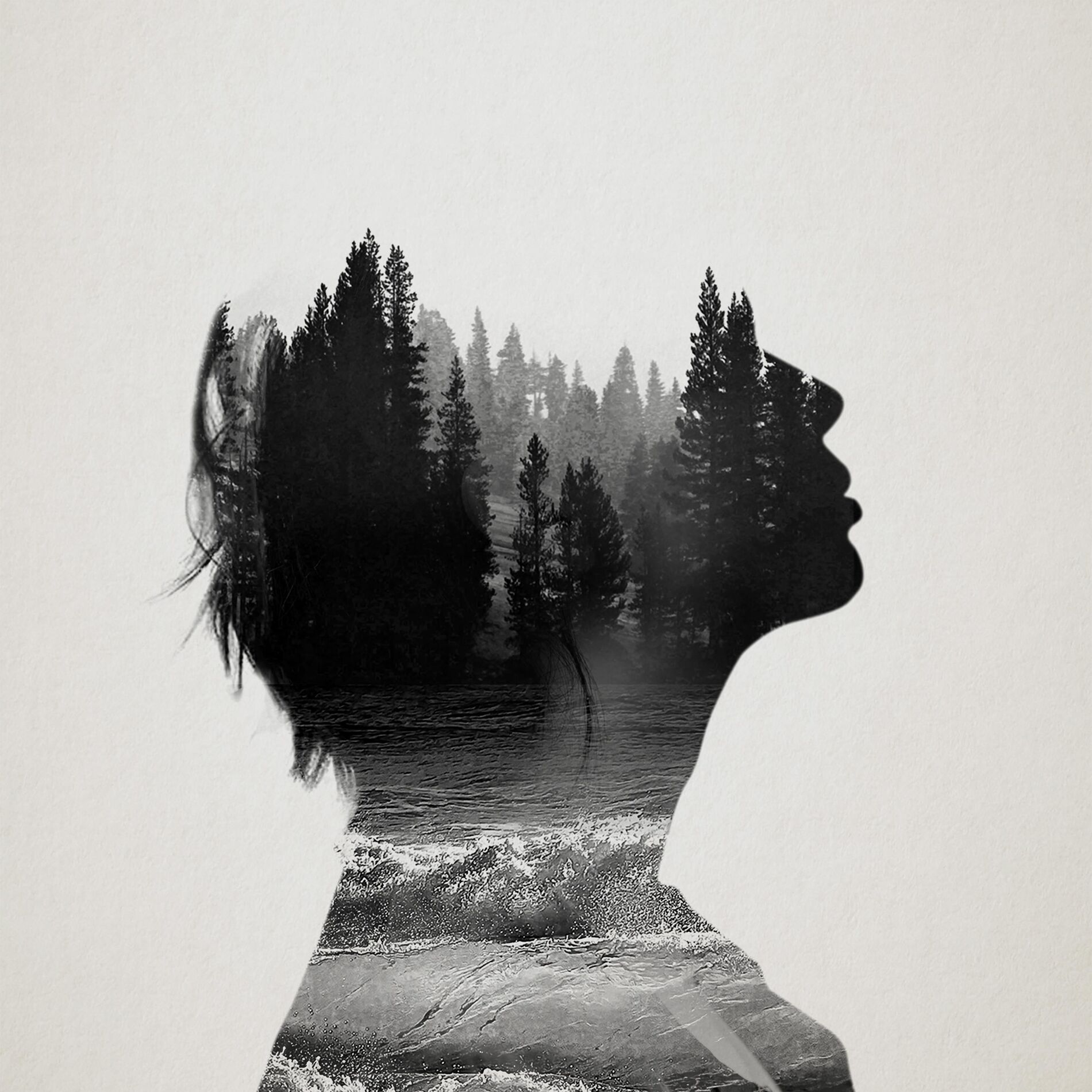 Album cover of Fools and Foes