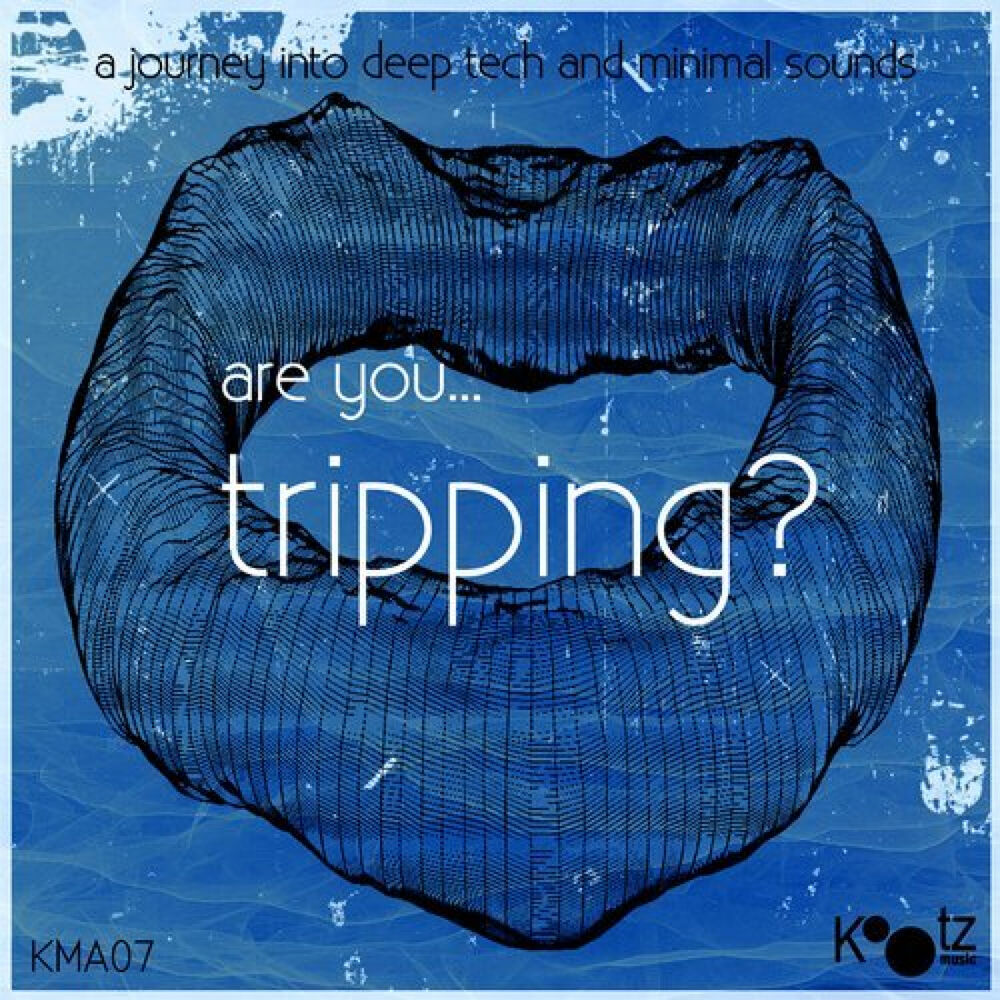 Picture of Are You...Tripping?, Vol. 5