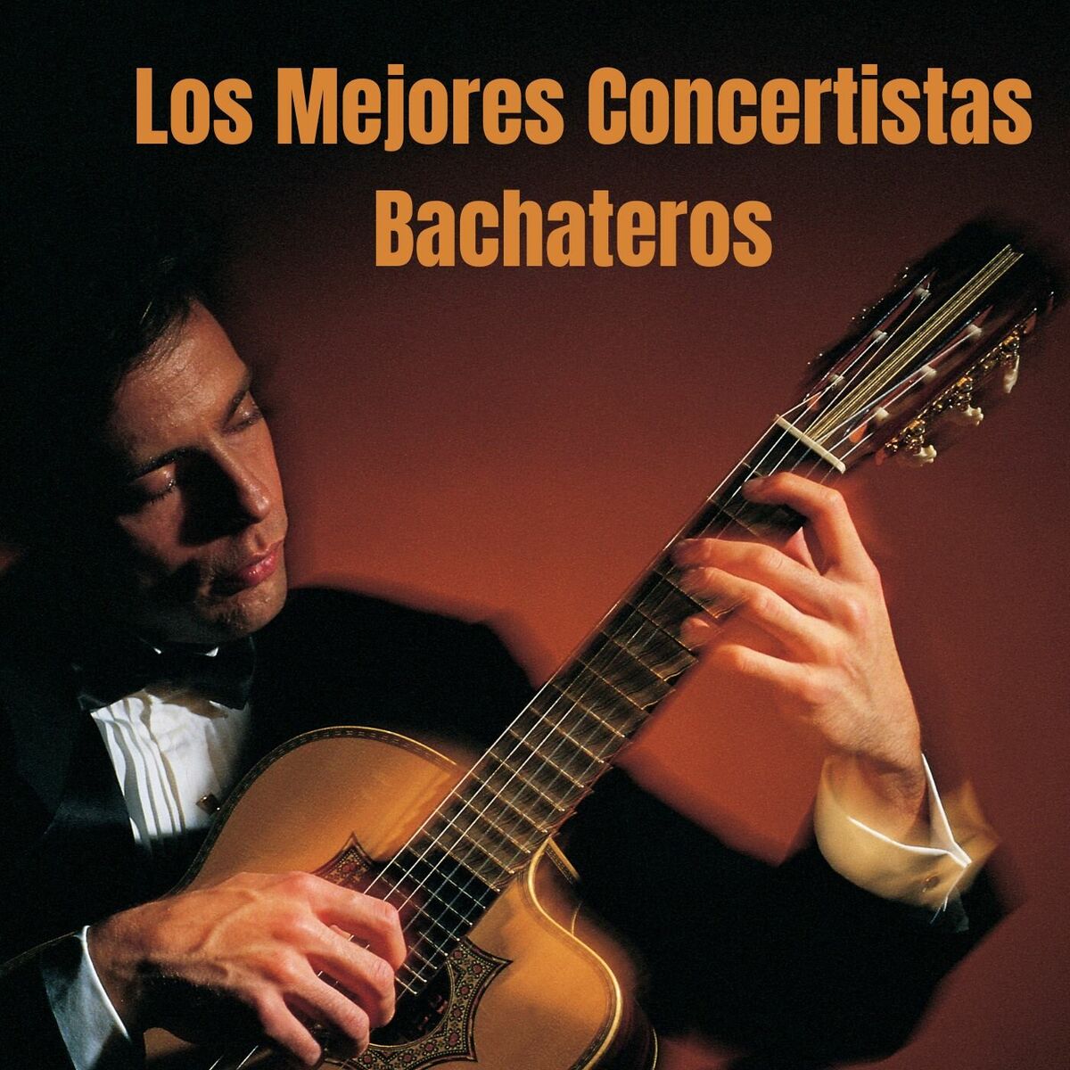 Album cover of Los mejores concertistas Bachateros