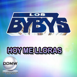 Cover of Hoy Me Lloras