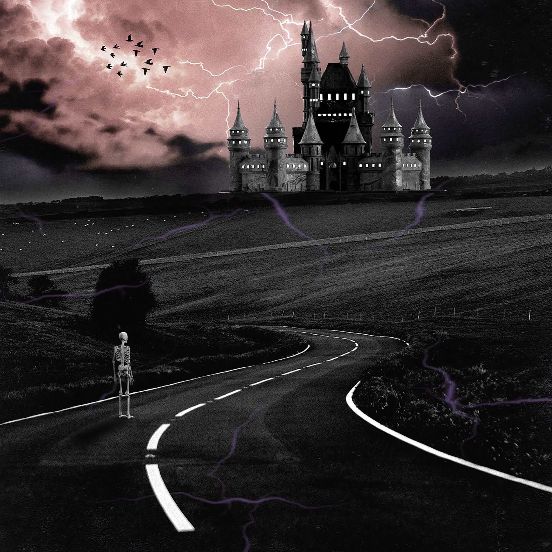 Album cover of Little Too Late
