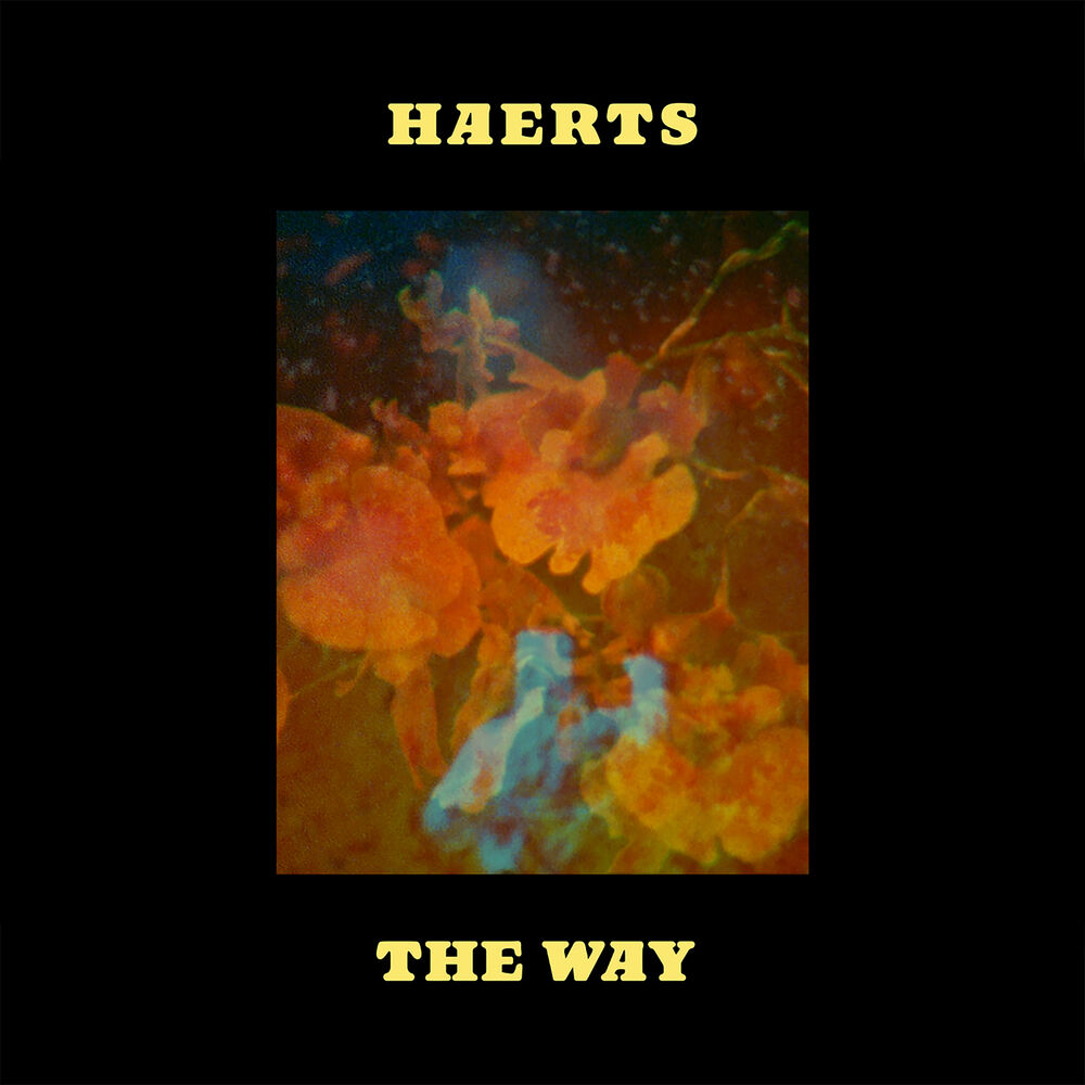 Picture of The Way