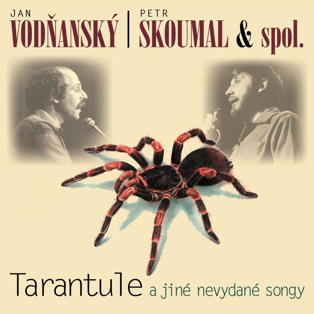 Picture of Tarantule