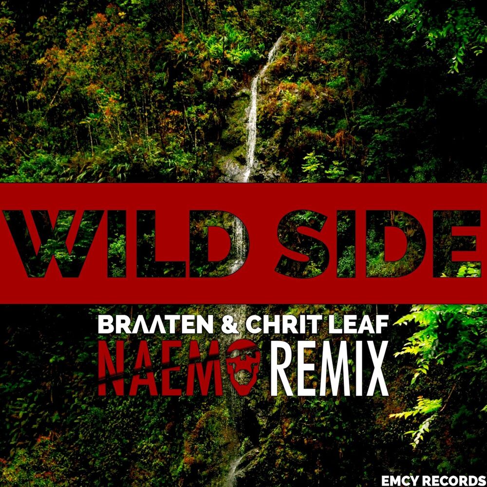 Picture of Wild Side (NAEMO Remix)