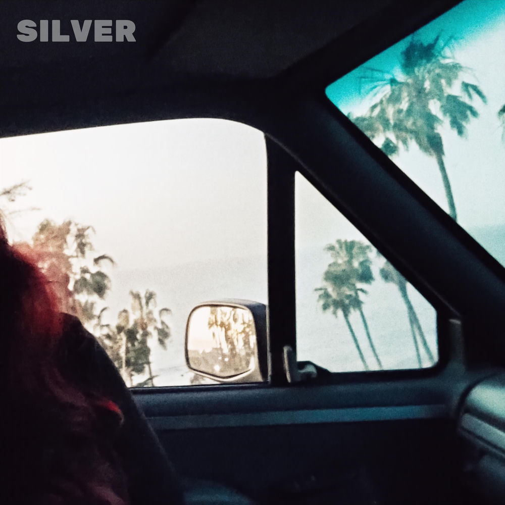 Silver sleeve