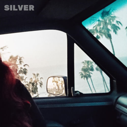 Silver sleeve