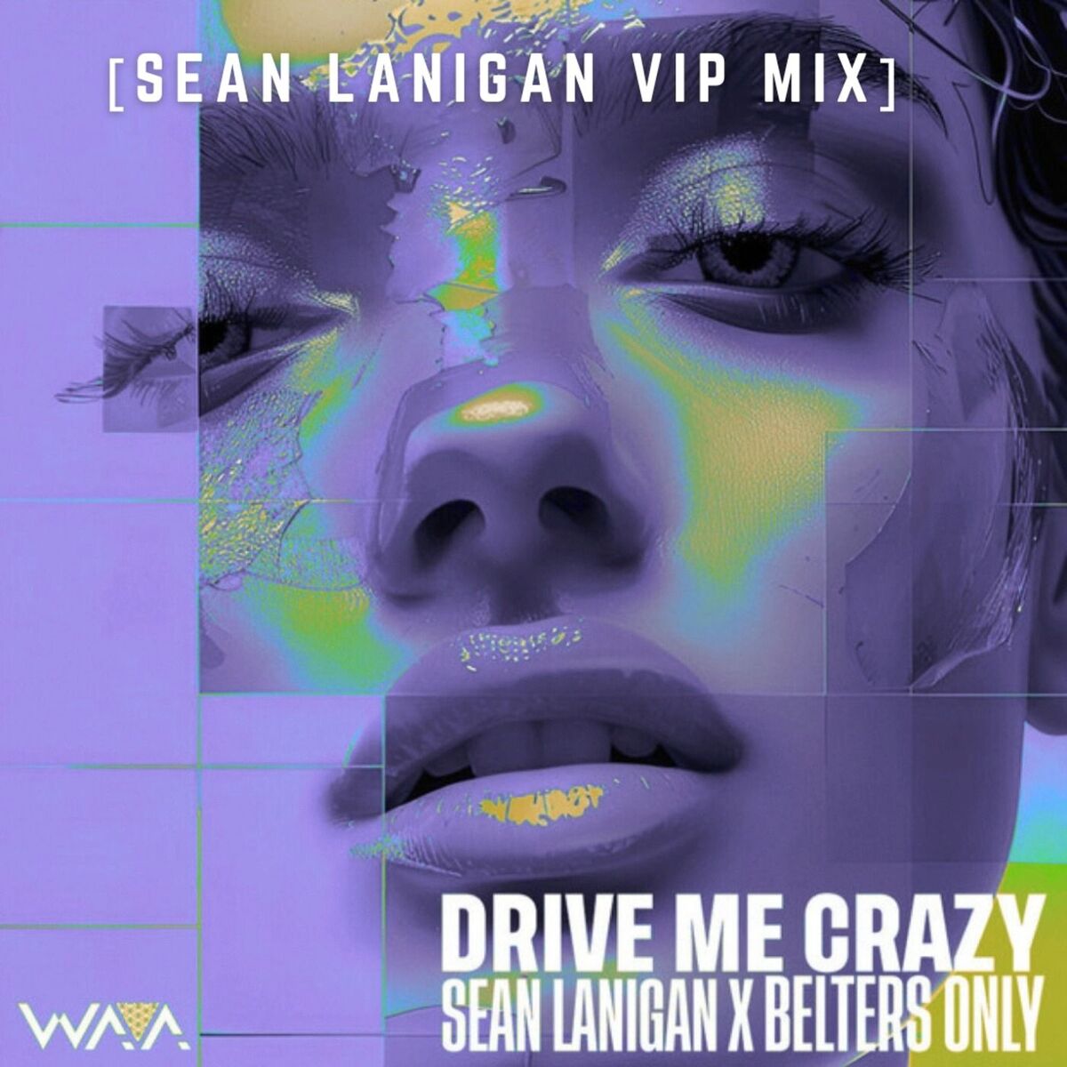 Album cover of Drive Me Crazy (Sean Lanigan VIP Mix)