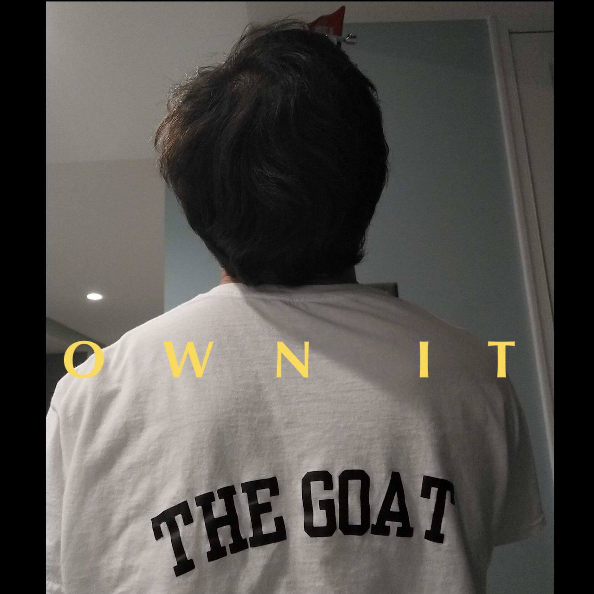 Album cover of Own It