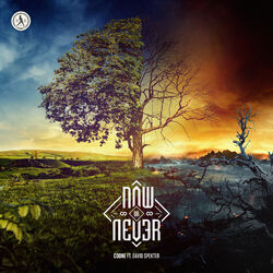 Cover of Now Or Never