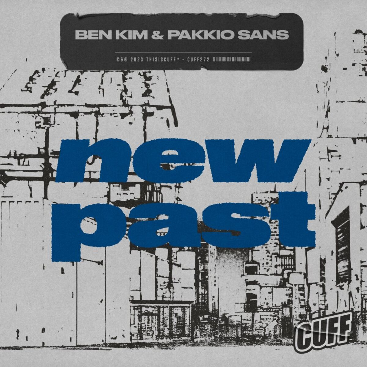 Album cover of New Past