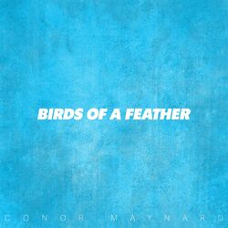 Cover of Birds of a Feather