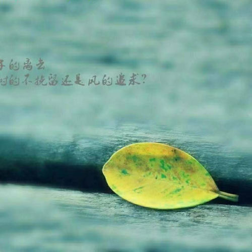 女人的辛酸