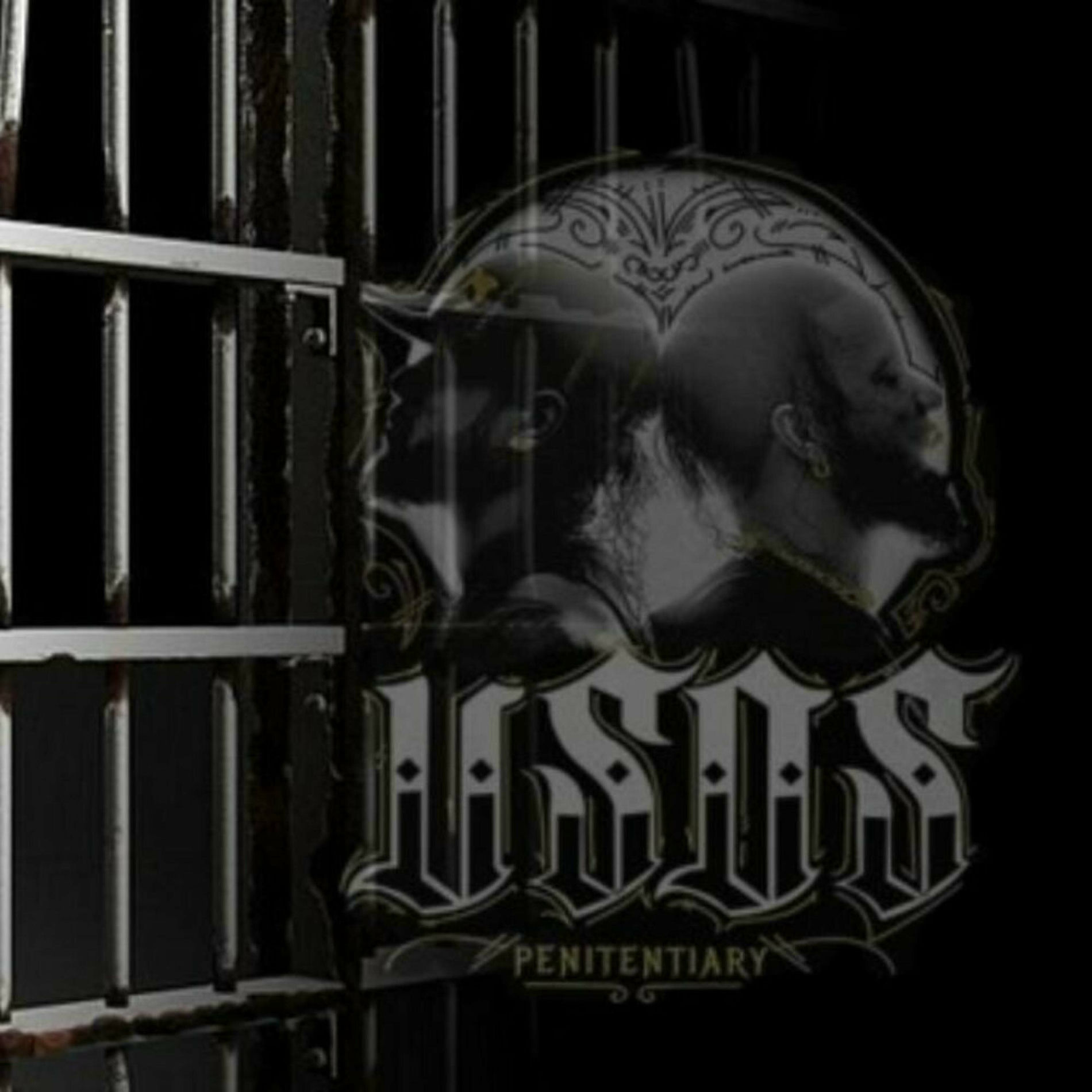 Album cover of The Usos Penitentiary