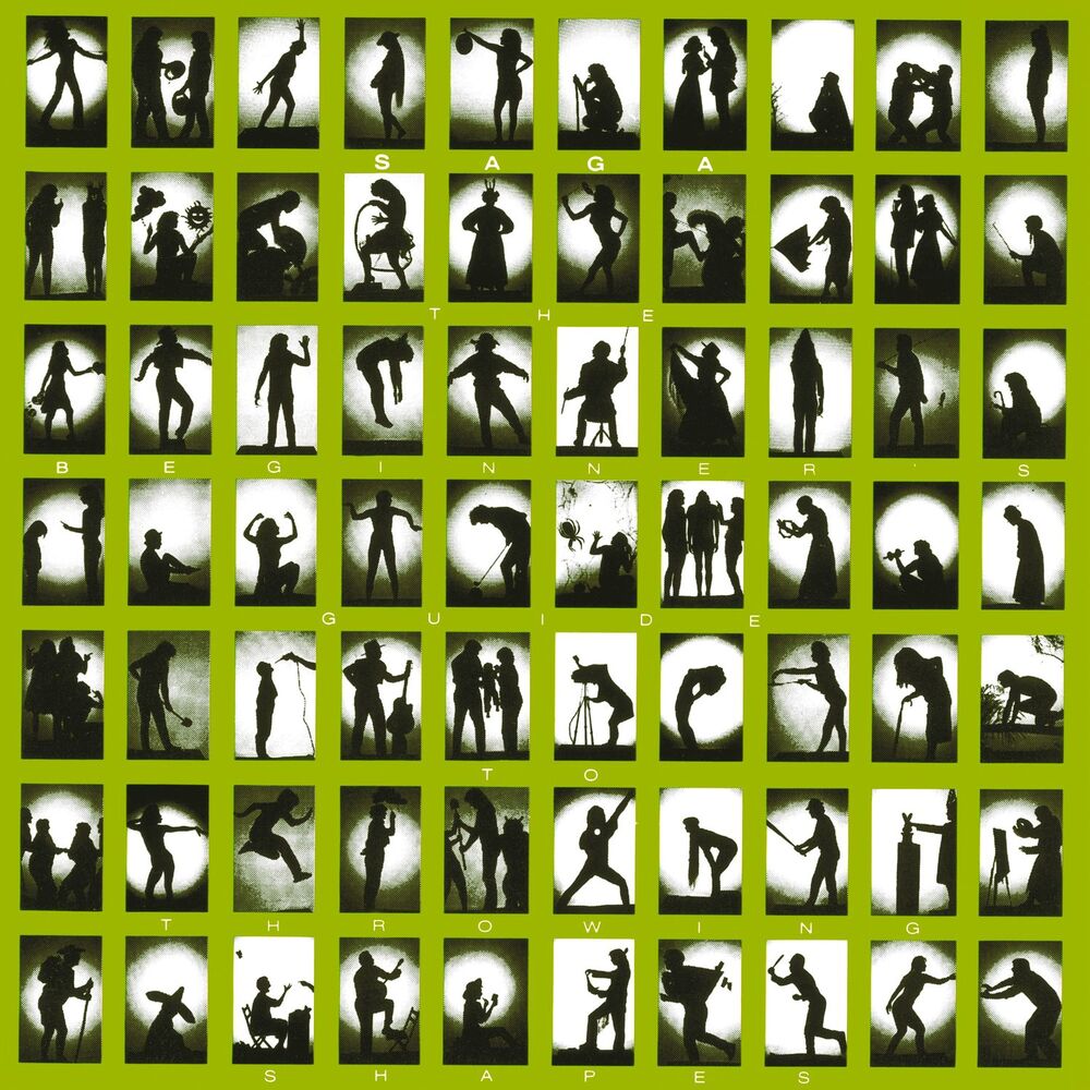 Picture of The Beginner's Guide to Throwing Shapes (2015 Edition)