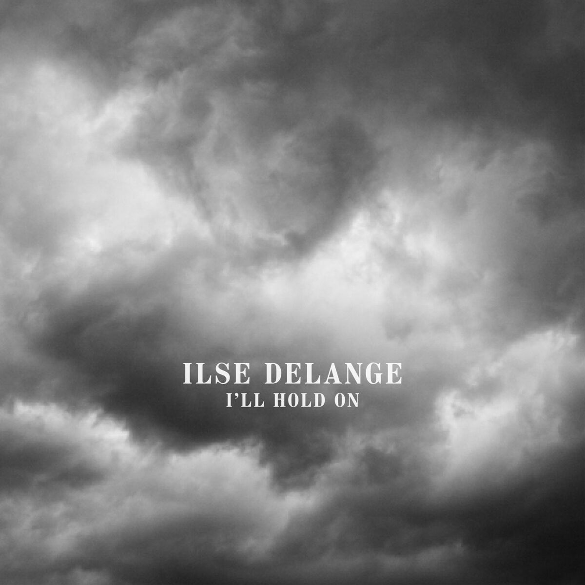 Album cover of I'll Hold On