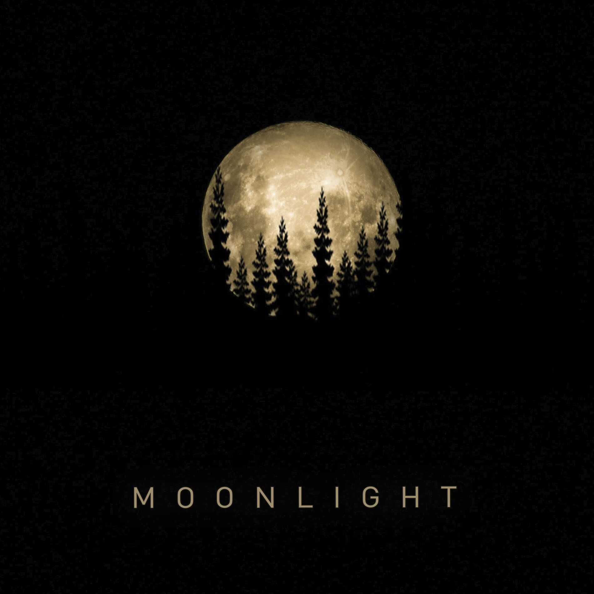 Album cover of Moonlight