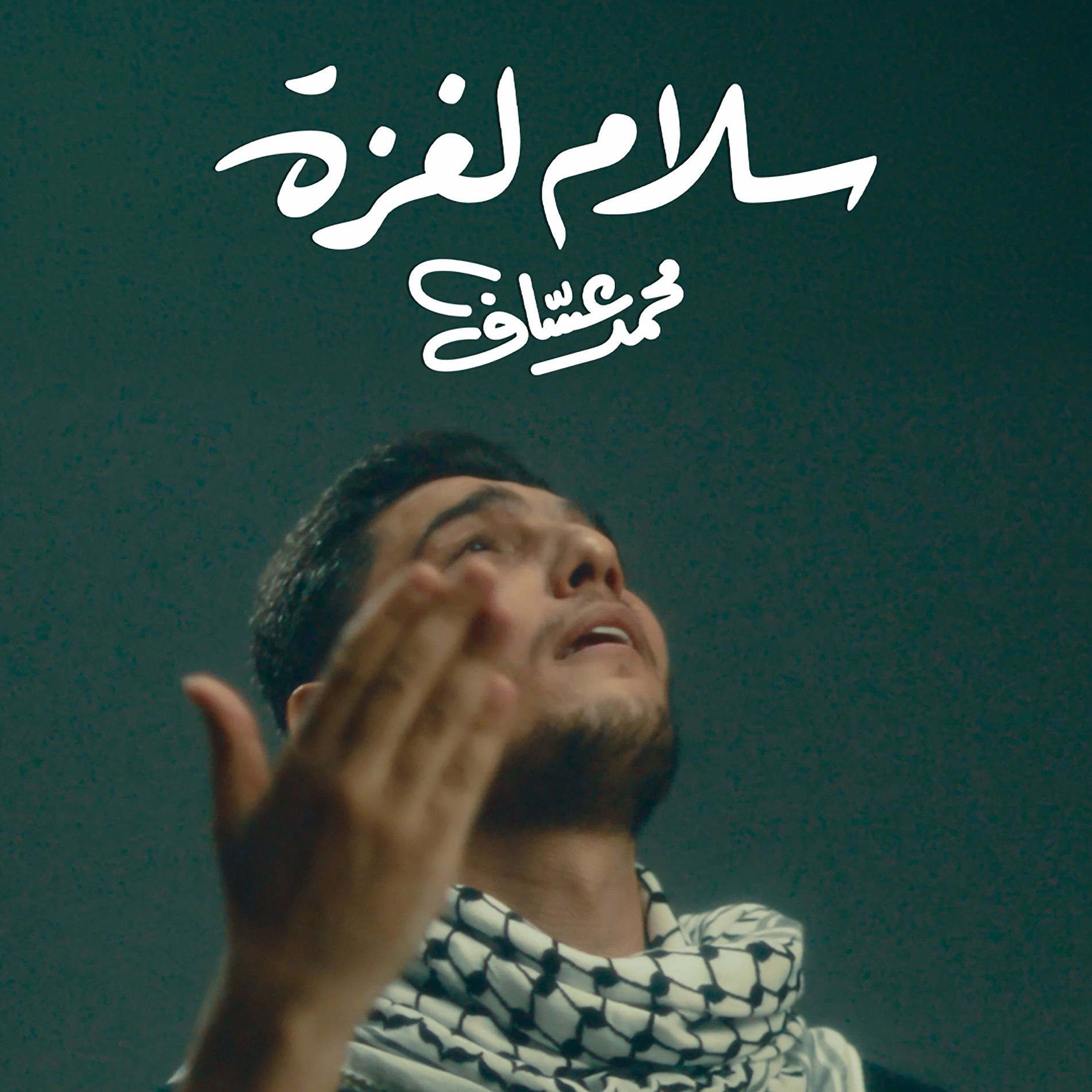 Album cover of Salam Le Gaza