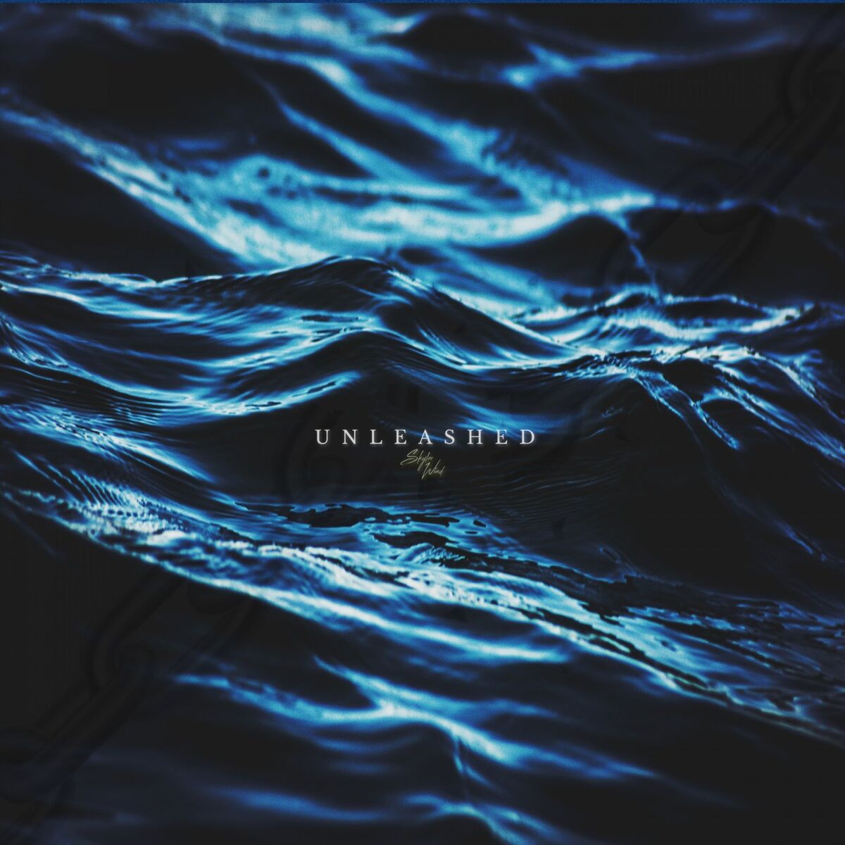 Album cover of Unleashed