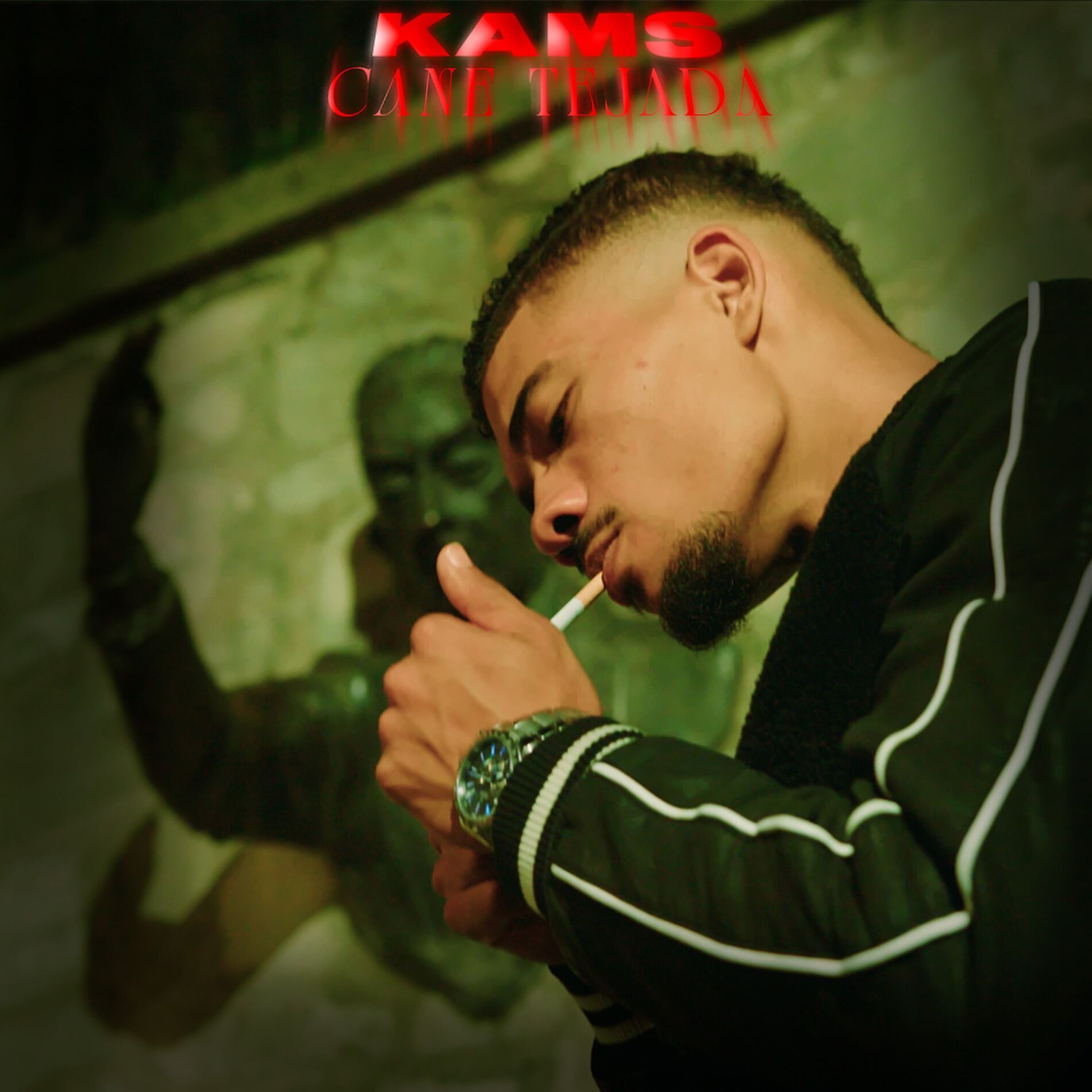 Album cover of Cane Tejada