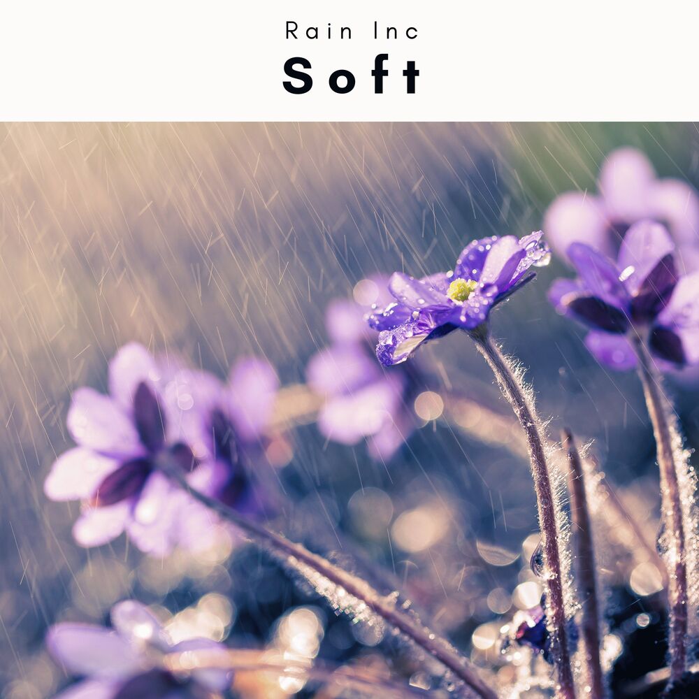 Picture of 2022 Soft