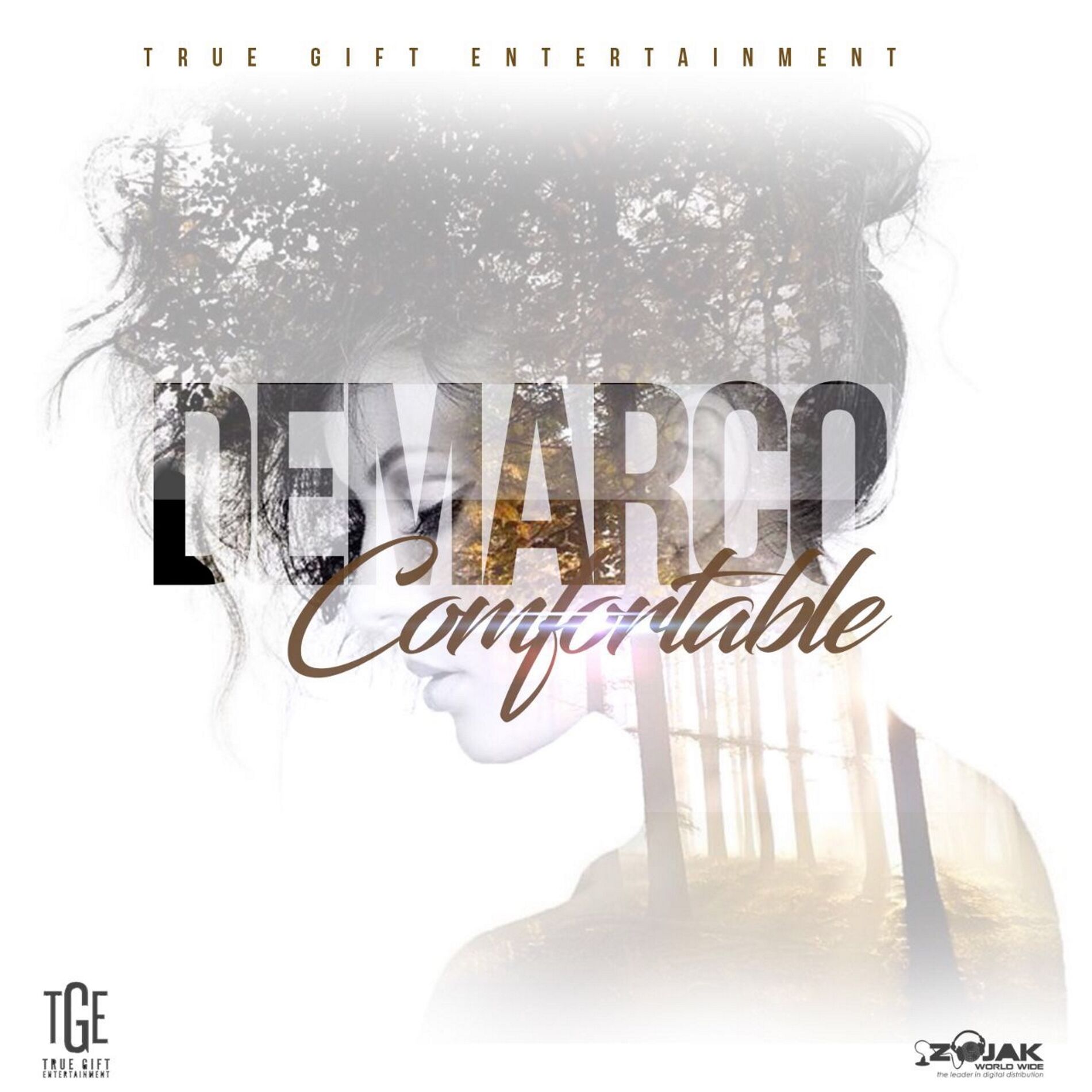 Album cover of Comfortable - Single