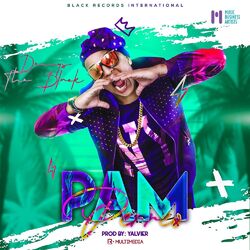 Cover of PAM