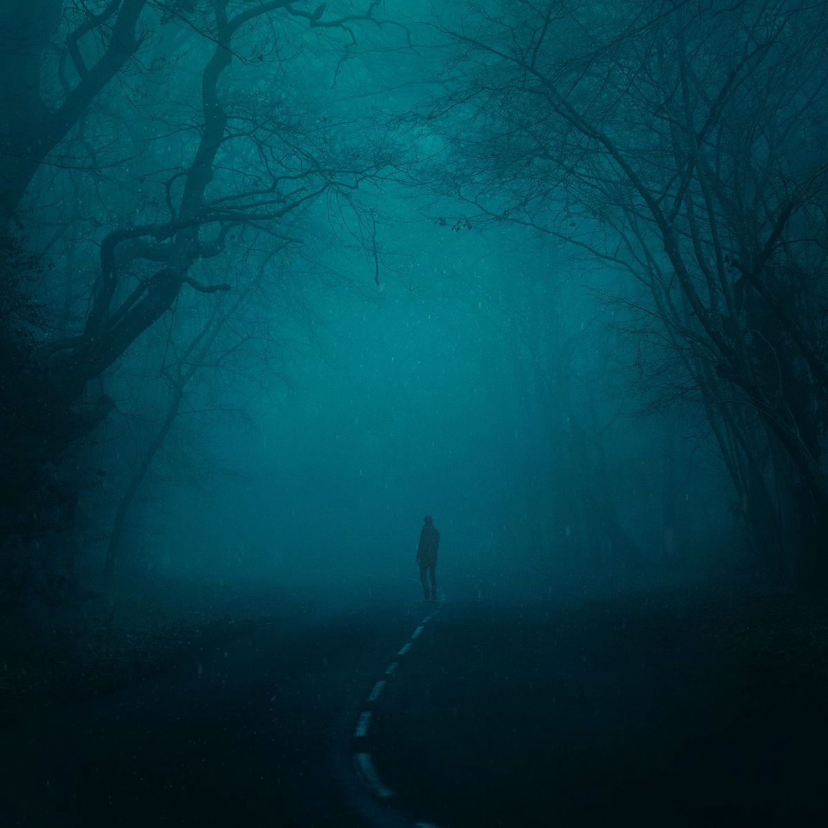 Album picture of snowfall (Slowed + Reverb)