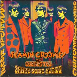 Cover of Shake Some Action