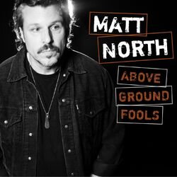 Cover of Above Ground Fools