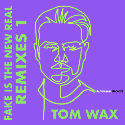 Fake Is the New Real (Remixes 1) artwork