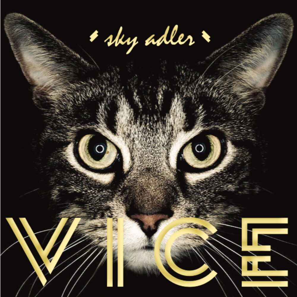 Picture of Vice