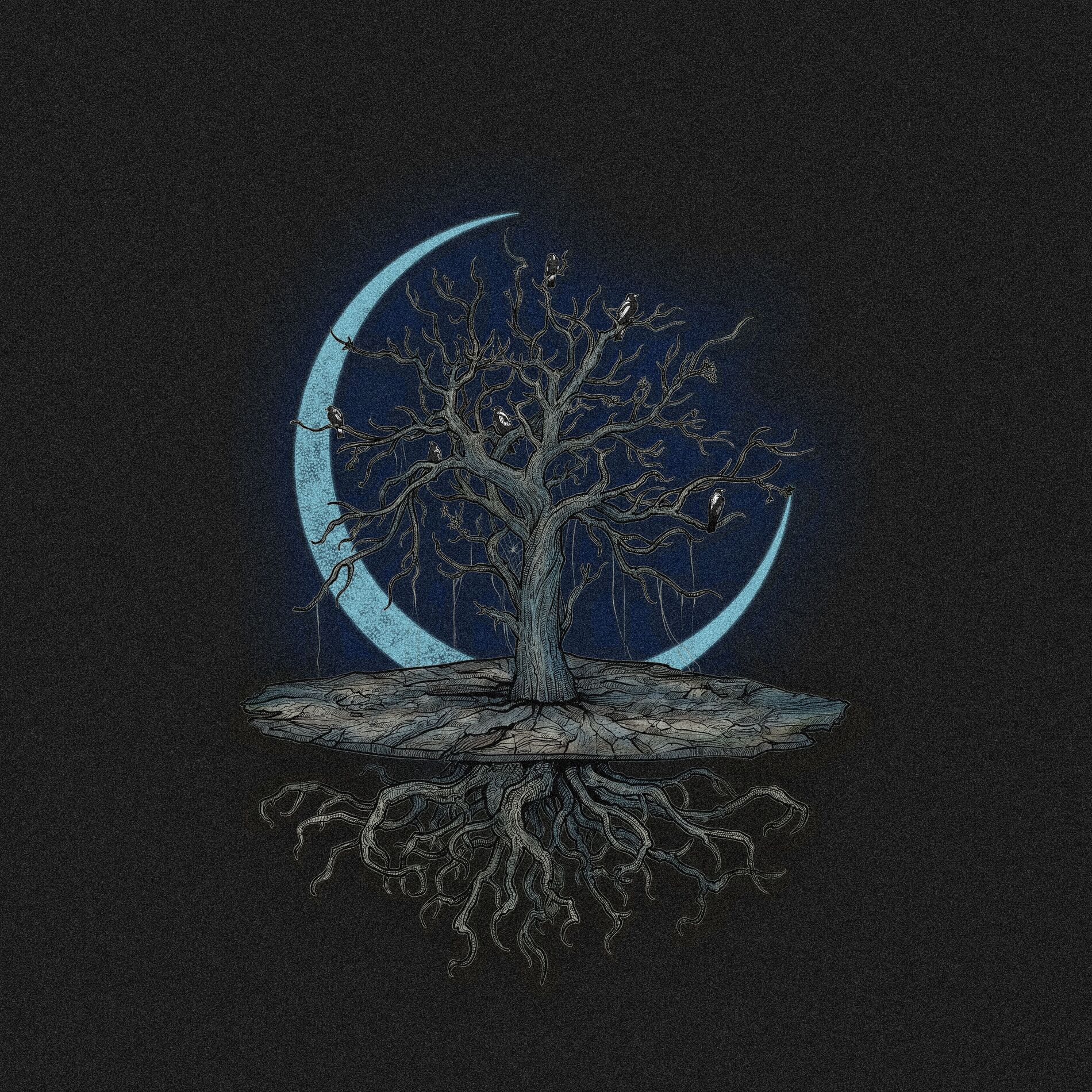 Album cover of DIVIDE