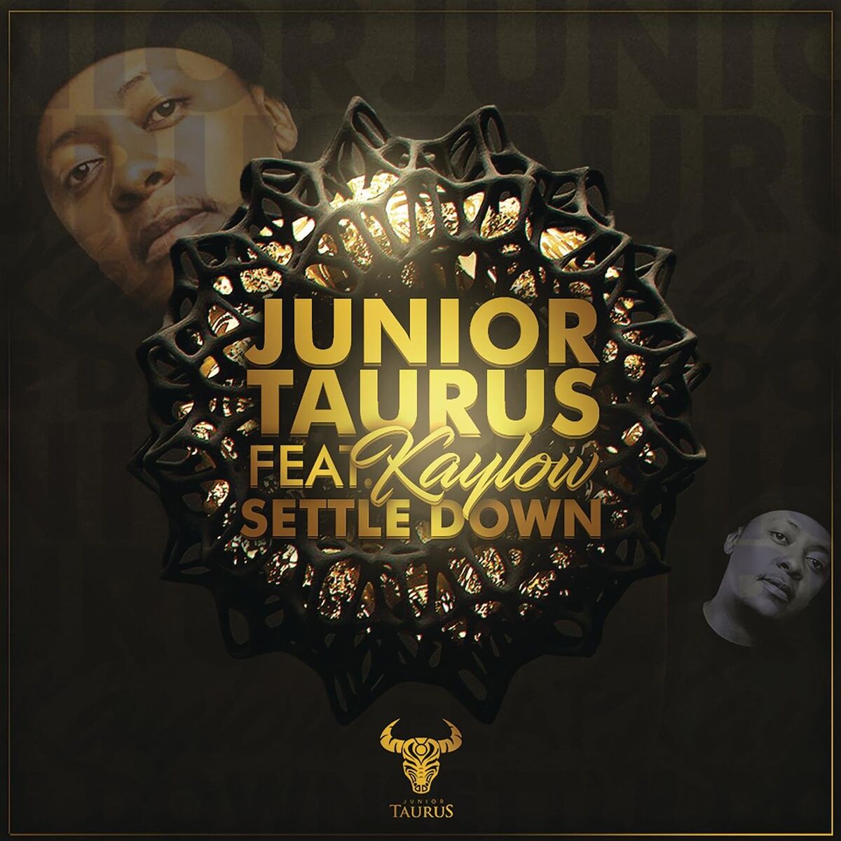Album cover of Settle Down (feat. Kaylow)