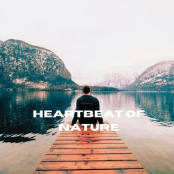 Cover of Heartbeat of Nature