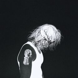 Cover of Bones