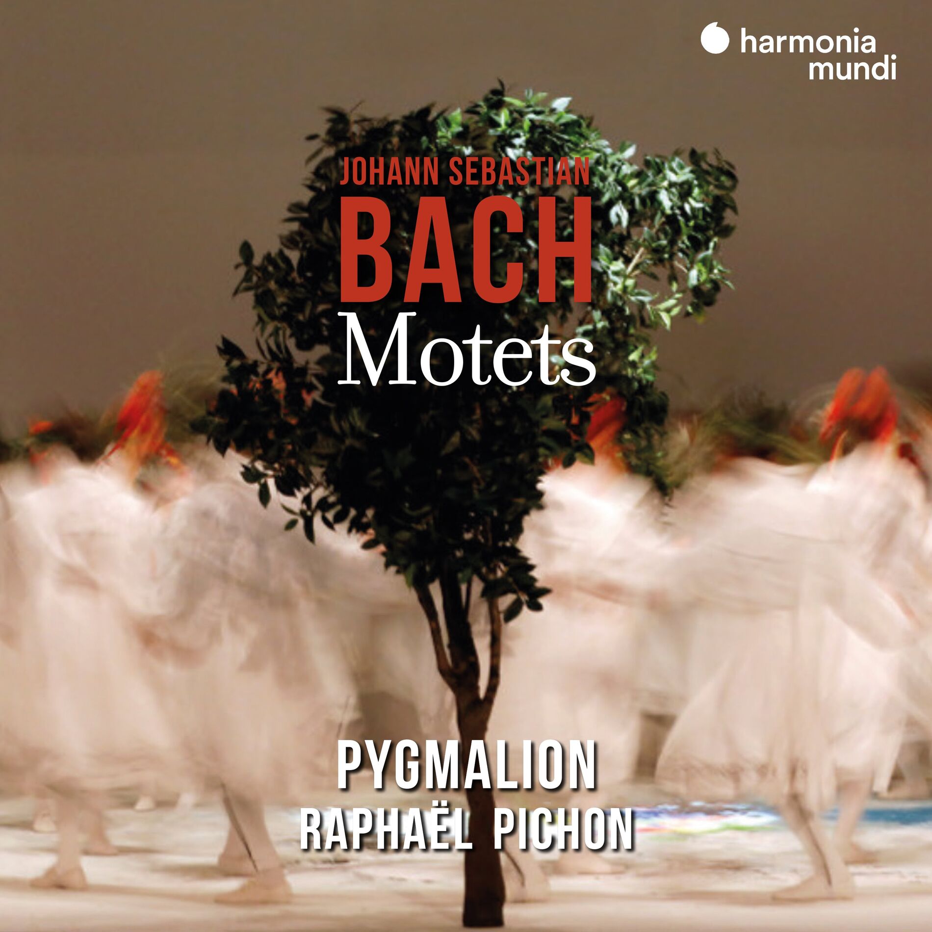 Album cover of Lobet den Herrn, alle Heiden, BWV 230