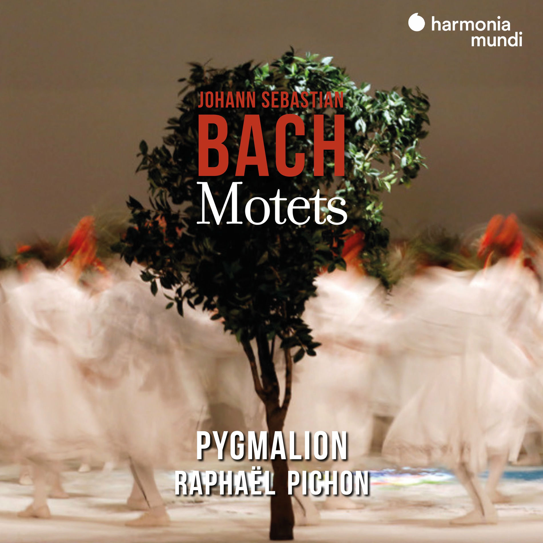 Album cover of Johann Sebastian Bach: Motets