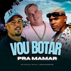 Cover of Vou Botar pra Mamar