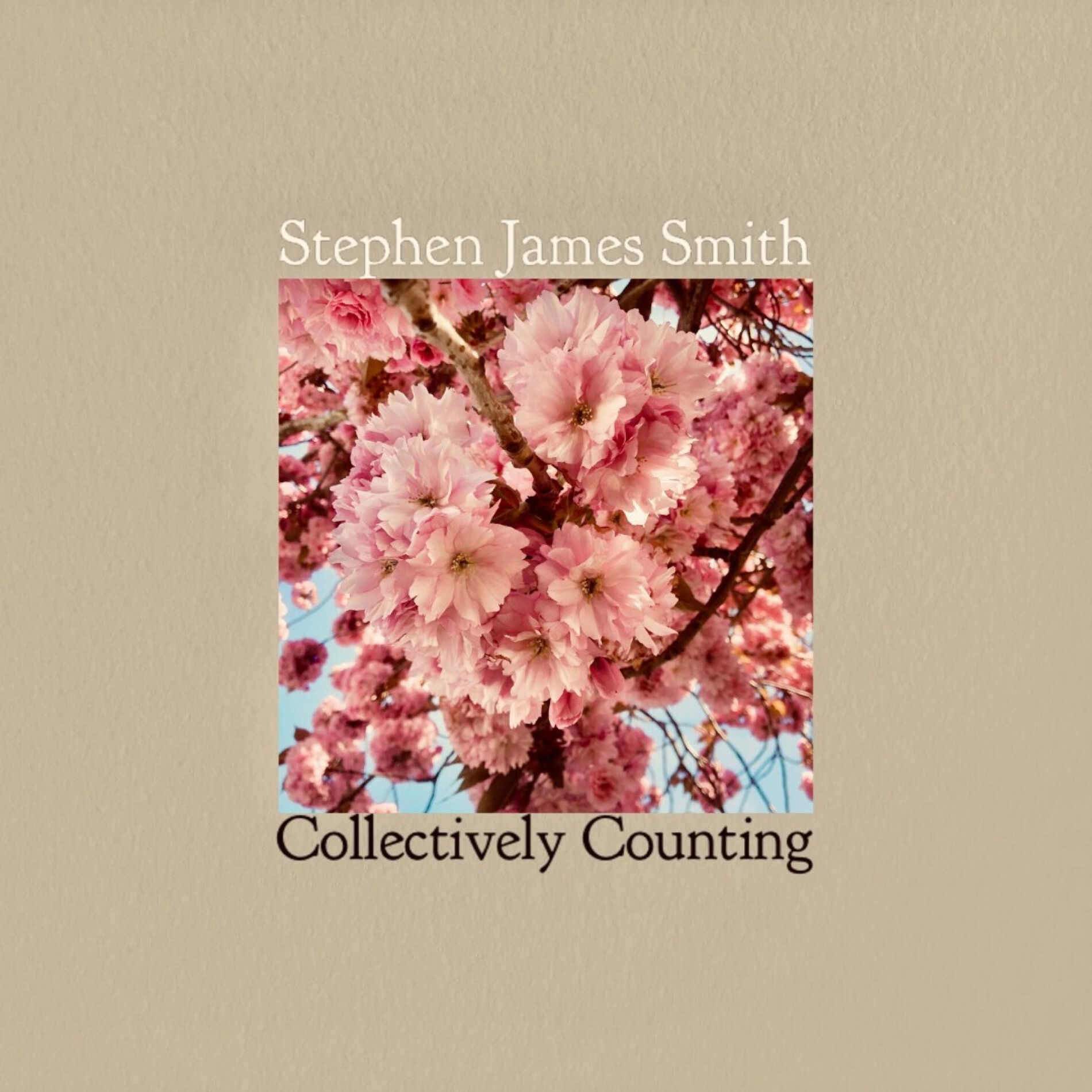 Album cover of Collectively Counting (feat. Gareth Quinn Redmond & Villagers)