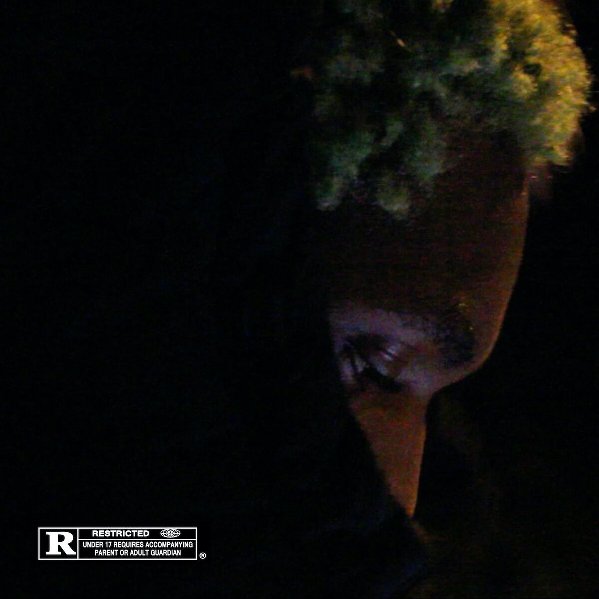Album cover of Scoring