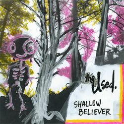 Cover of Shallow Believer